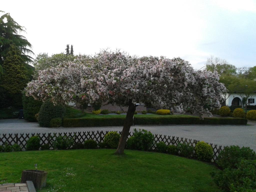 Rene'S B&B Kerkrade Dış mekan fotoğraf
