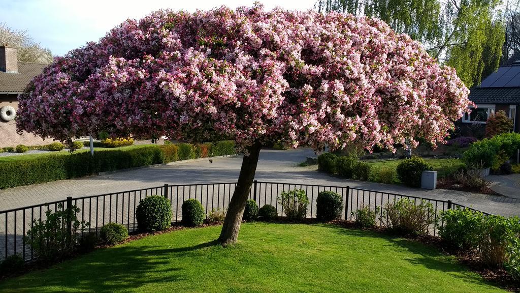 Rene'S B&B Kerkrade Dış mekan fotoğraf
